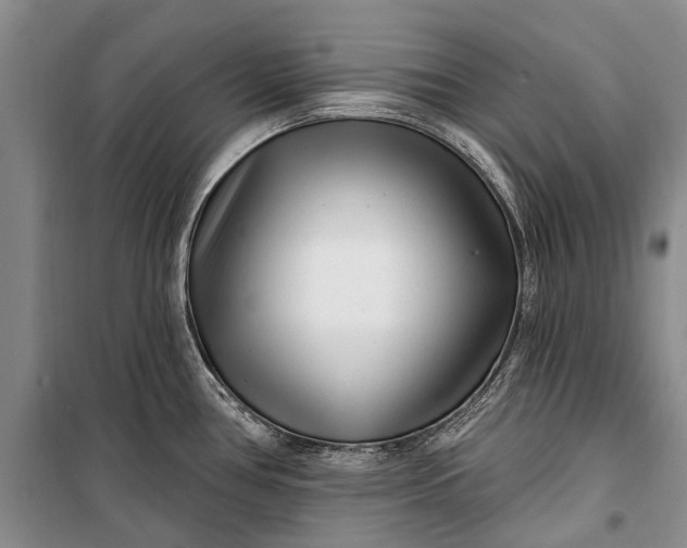 X0000100211386200806131242