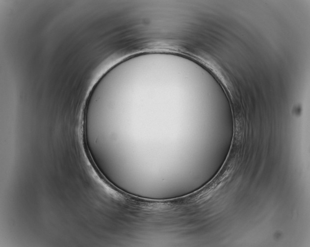 X0000100211387200806131242