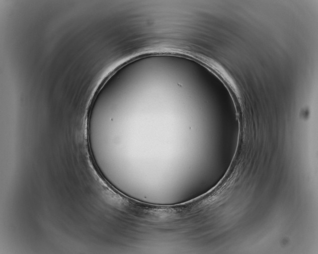 X0000100211388200806131242