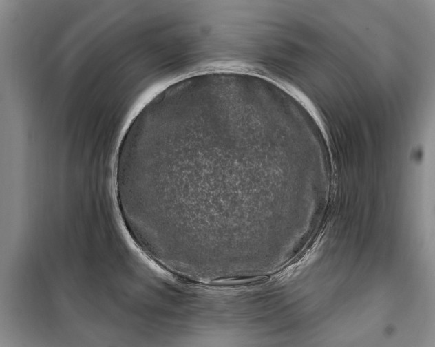 X0000100211389200806131242