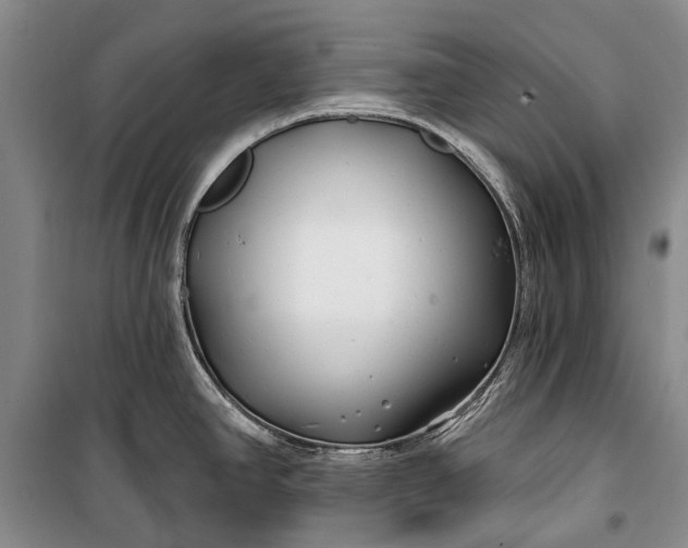 X0000100211390200806131242