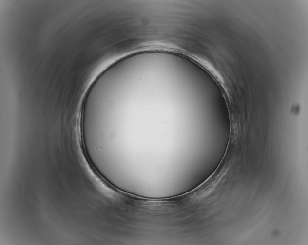 X0000100211391200806131242