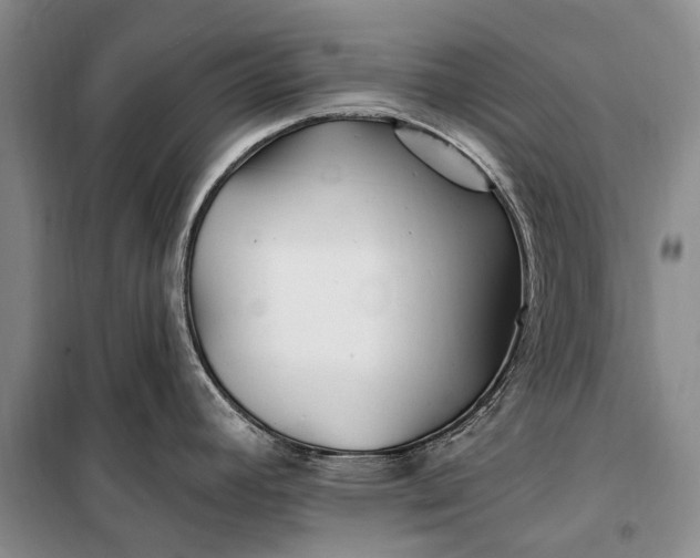 X0000100211392200806131242