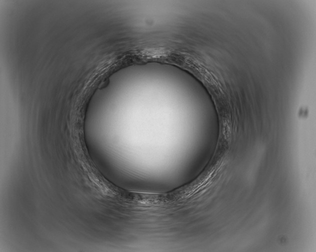 X0000100211393200806131242