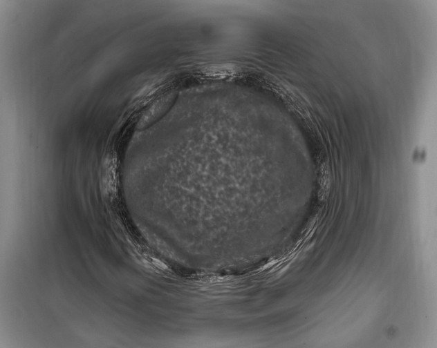 X0000100211394200806131242