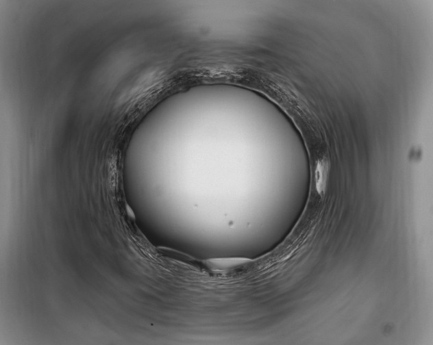 X0000100211395200806131242