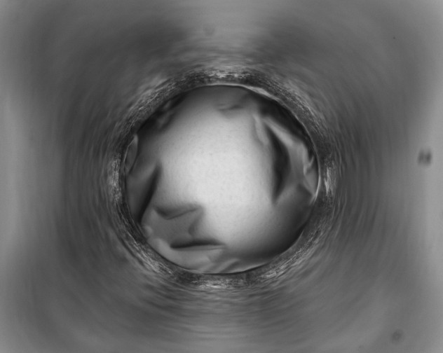 X0000100211396200806131242