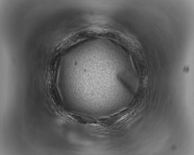 X0000100211397200806131242