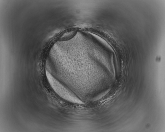 X0000100211398200806131242