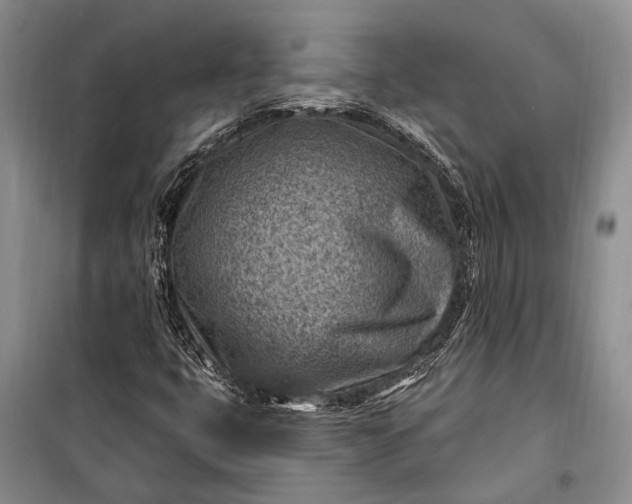 X0000100211399200806131242