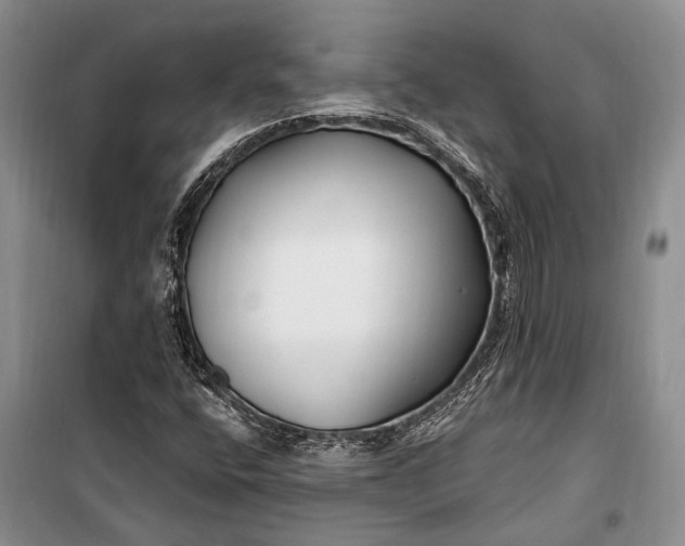 X0000100211400200806131242