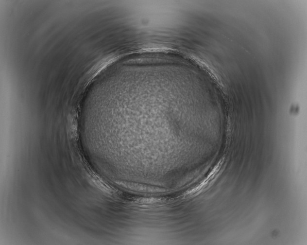 X0000100211401200806131242