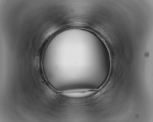 X0000100211402200806131242