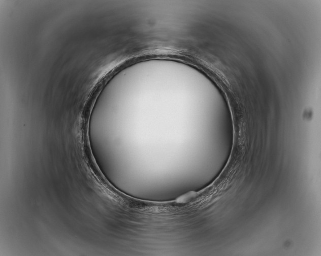 X0000100211404200806131242