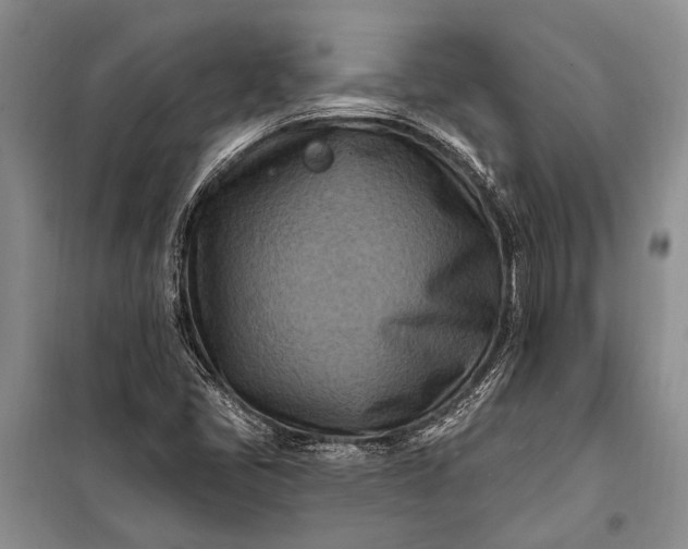 X0000100211405200806131242