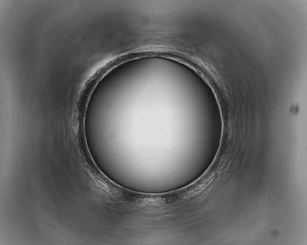 X0000100211406200806131242