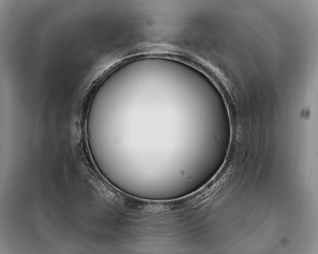 X0000100211407200806131242