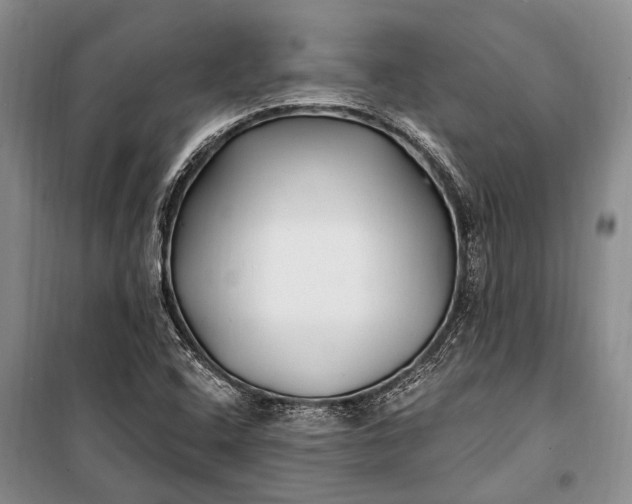 X0000100211408200806131242