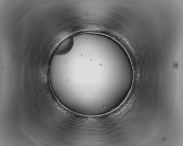 X0000100211409200806131242