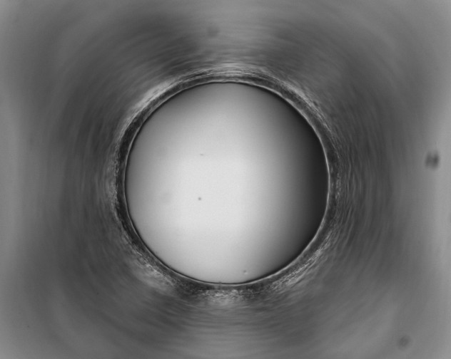 X0000100211410200806131242