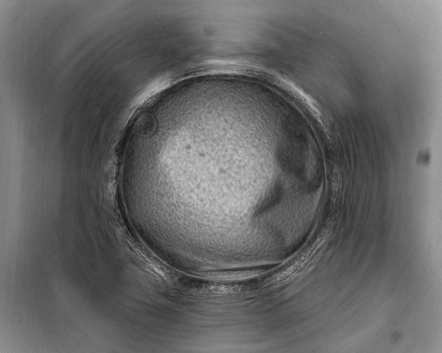 X0000100211411200806131242