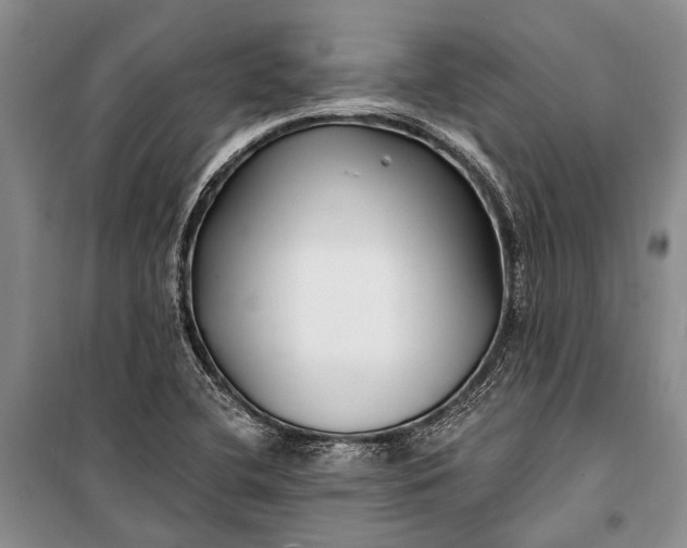 X0000100211412200806131242