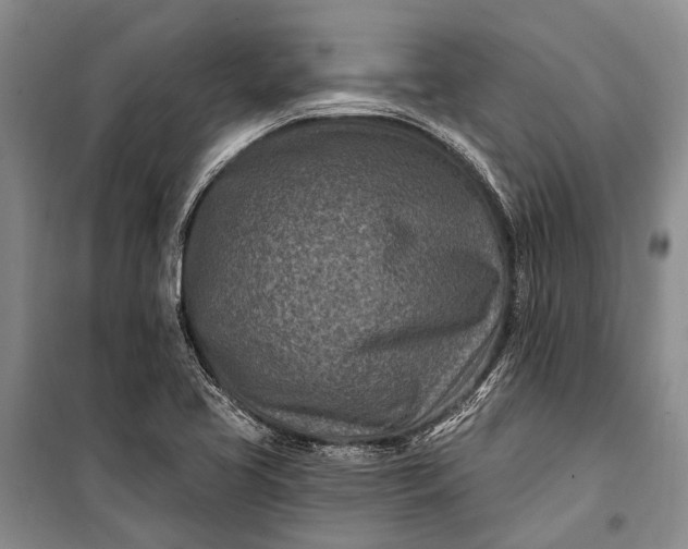 X0000100211413200806131242