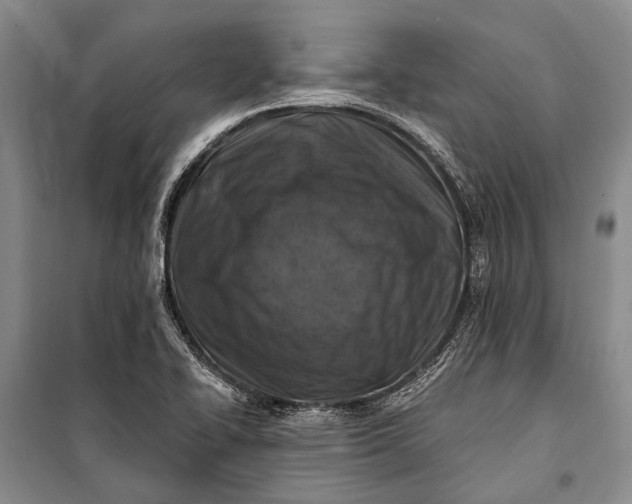 X0000100211414200806131242