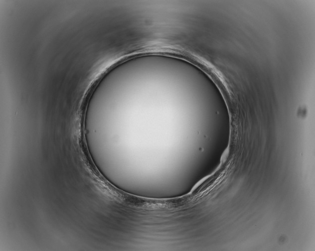 X0000100211415200806131242