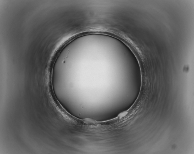 X0000100211416200806131242