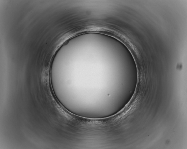 X0000100211417200806131242