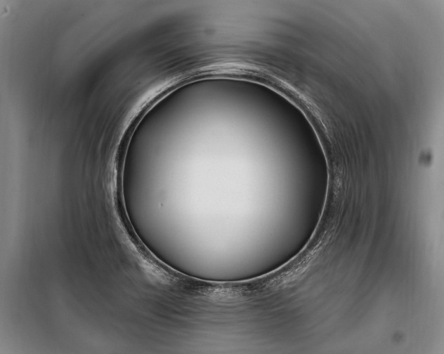 X0000100211418200806131242