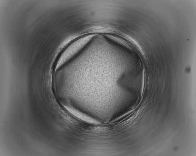 X0000100211419200806131242