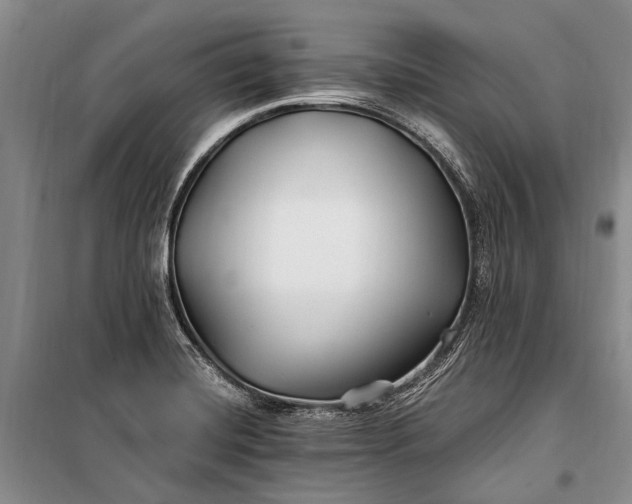 X0000100211420200806131242