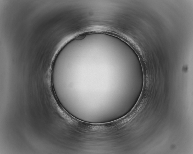 X0000100211421200806131242