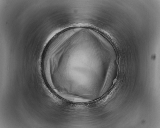 X0000100211422200806131242