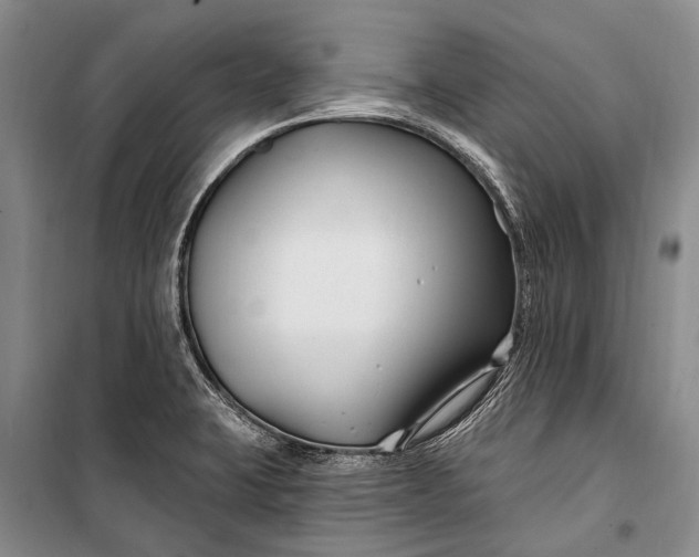 X0000100211423200806131242