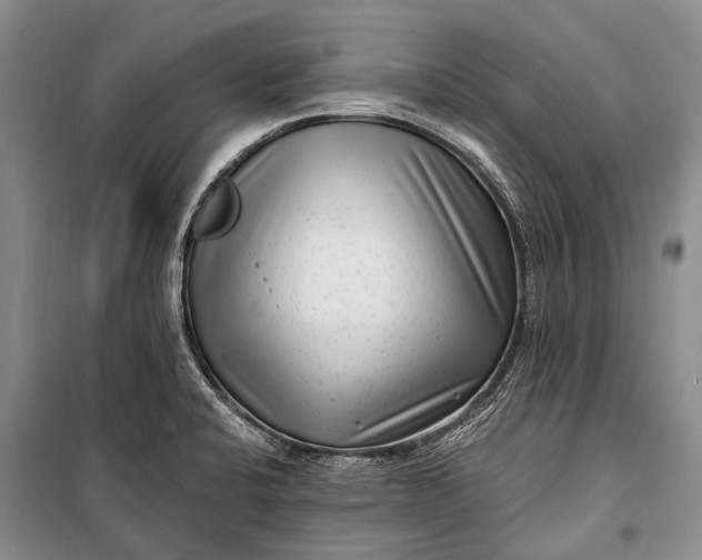 X0000100211424200806131242