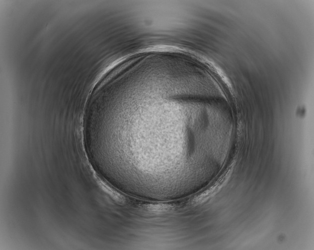 X0000100211425200806131242