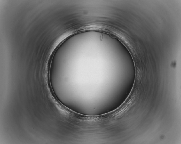 X0000100211426200806131242