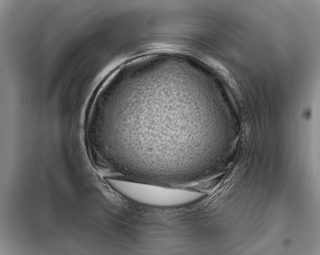 X0000100211427200806131242