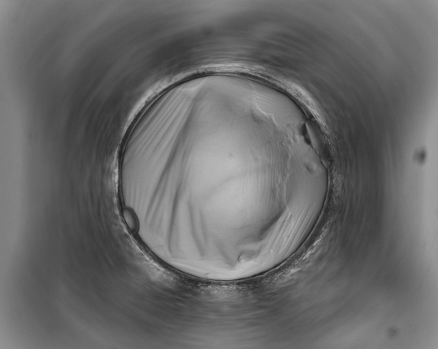 X0000100211428200806131242