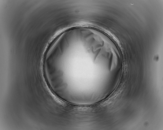 X0000100211429200806131242