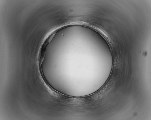 X0000100211430200806131242