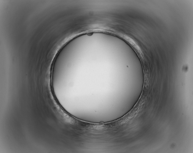 X0000100211431200806131242