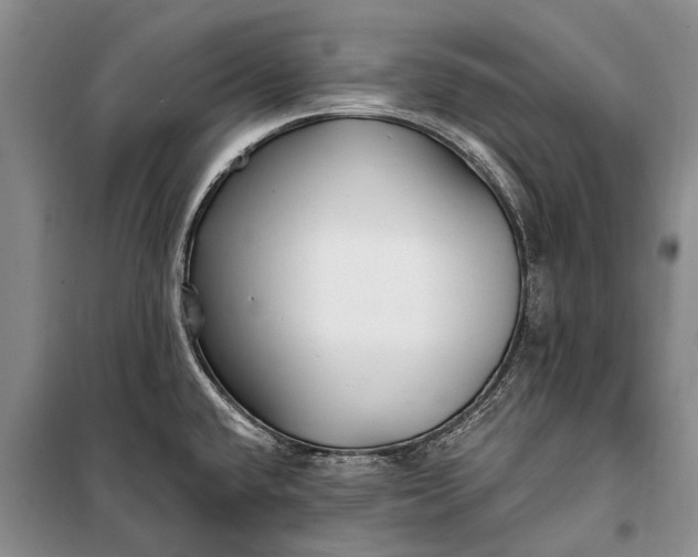 X0000100211432200806131242