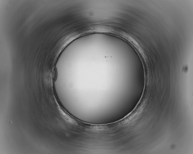 X0000100211433200806131242