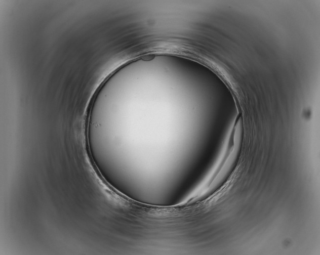 X0000100211434200806131242