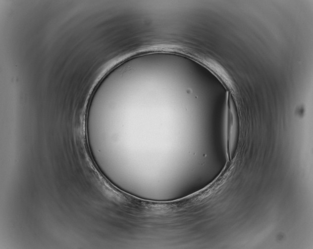 X0000100211436200806131242