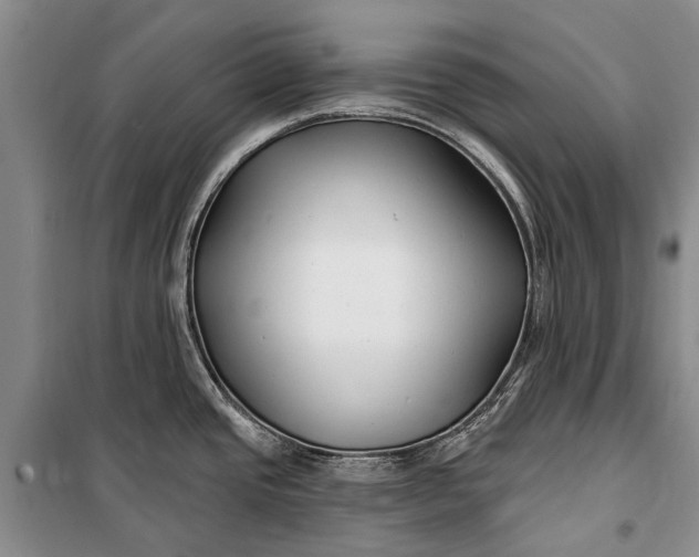 X0000100211437200806131242